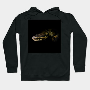 Python Hoodie